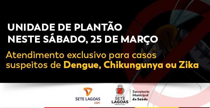 plantao dengue